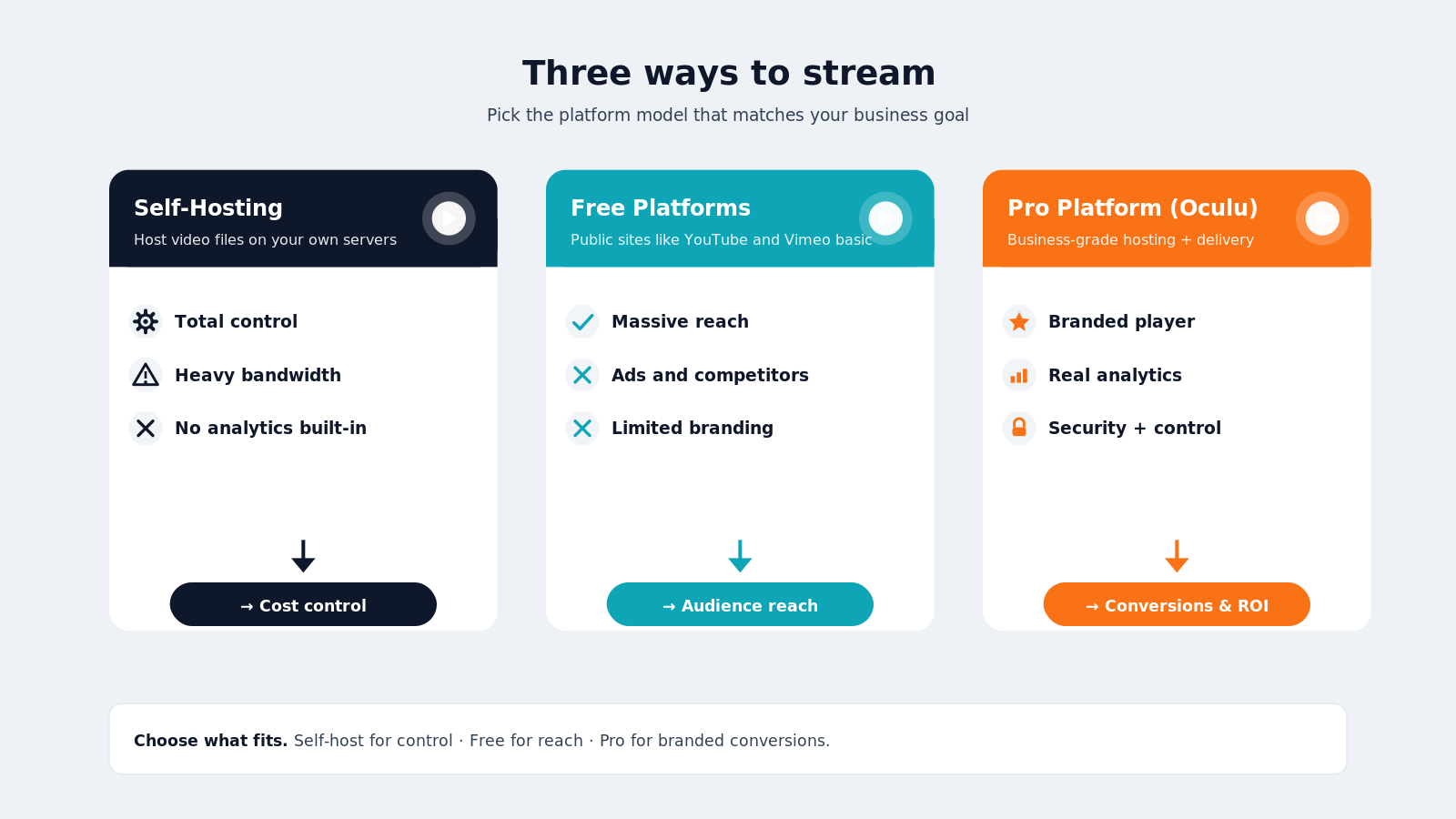 Your Different Video Streaming Platform Options